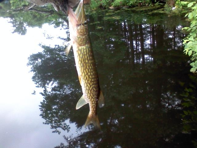 Kingsbury pond