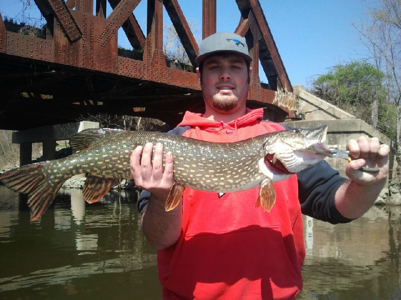 nice pike